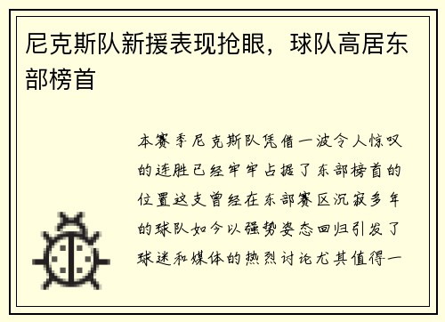 尼克斯队新援表现抢眼，球队高居东部榜首